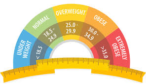 10 Efficient BMI Calculator Features