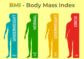 10 Efficient BMI Calculator Features